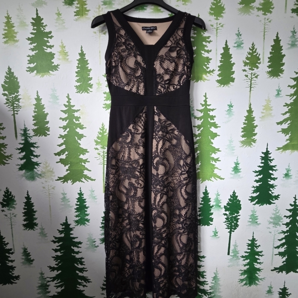 Elegant Candalite Petite Black Lace Dress.
